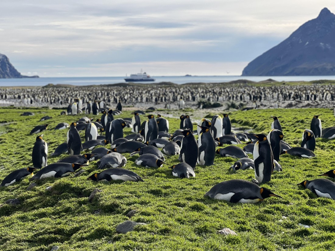 HDS31-25, Day 6, IMG_7108 © Elizabeth Robinson - Oceanwide Expeditions.jpeg