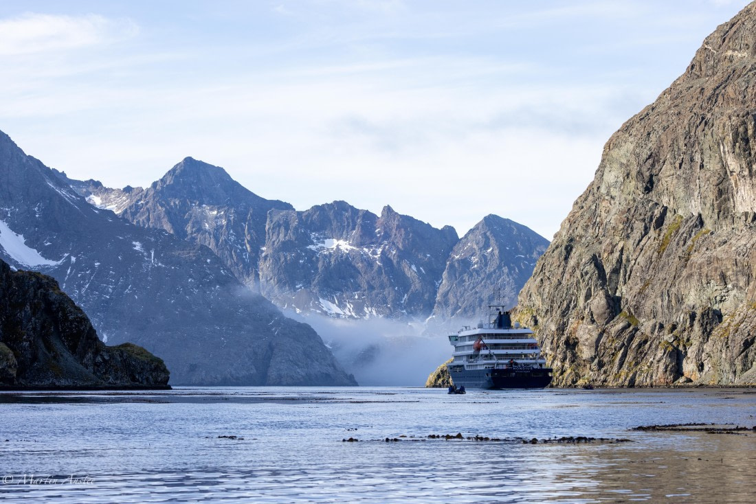 HDS31-25, Day 7, 088A0088 © Martin Anstee - Oceanwide Expeditions.jpg