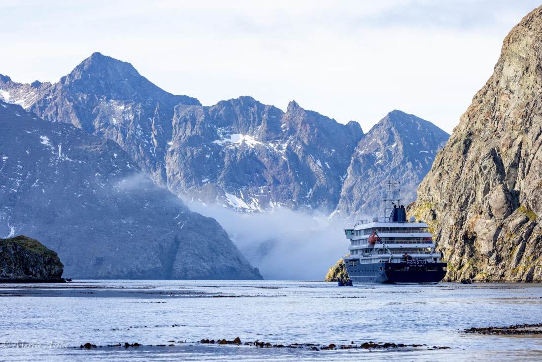 HDS31-25, Day 7, 088A0091 © Martin Anstee - Oceanwide Expeditions.jpg