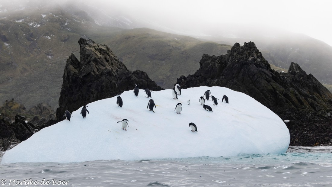 HDS31-25, Day 7, 20250329-398A5943 © Marijke de Boer - Oceanwide Expeditions.jpg
