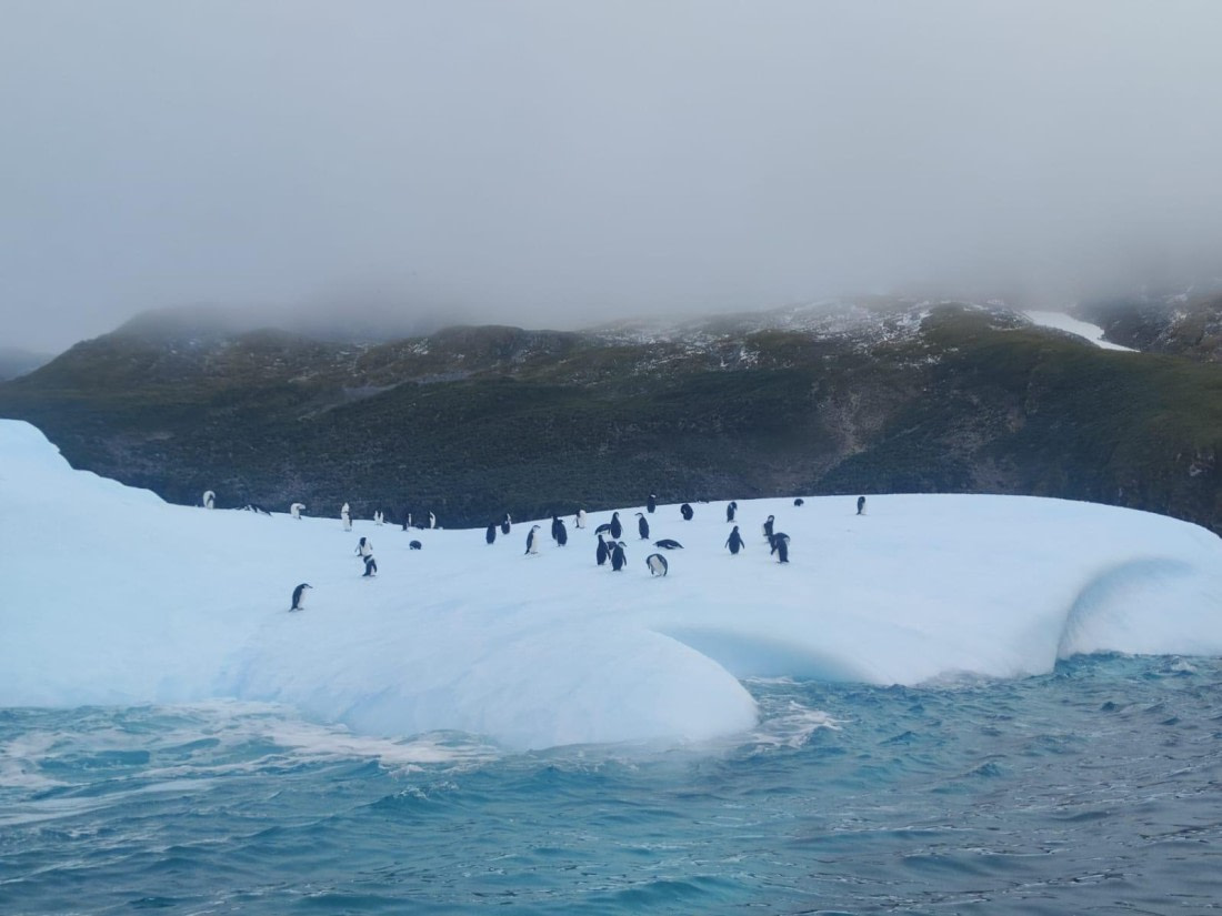 HDS31-25, Day 7, WhatsApp Image 2025-03-30 at 15.01.41 (2) © Unknown photographer - Oceanwide Expeditions.jpeg