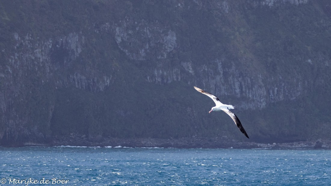 HDS31-25, Day 12, 20250403-398A6652 © Marijke de Boer - Oceanwide Expeditions.jpg