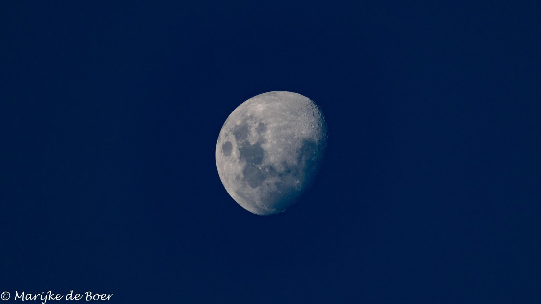 HDS31-25, Day 17, 20250408-398A7370 © Marijke de Boer - Oceanwide Expeditions.jpg