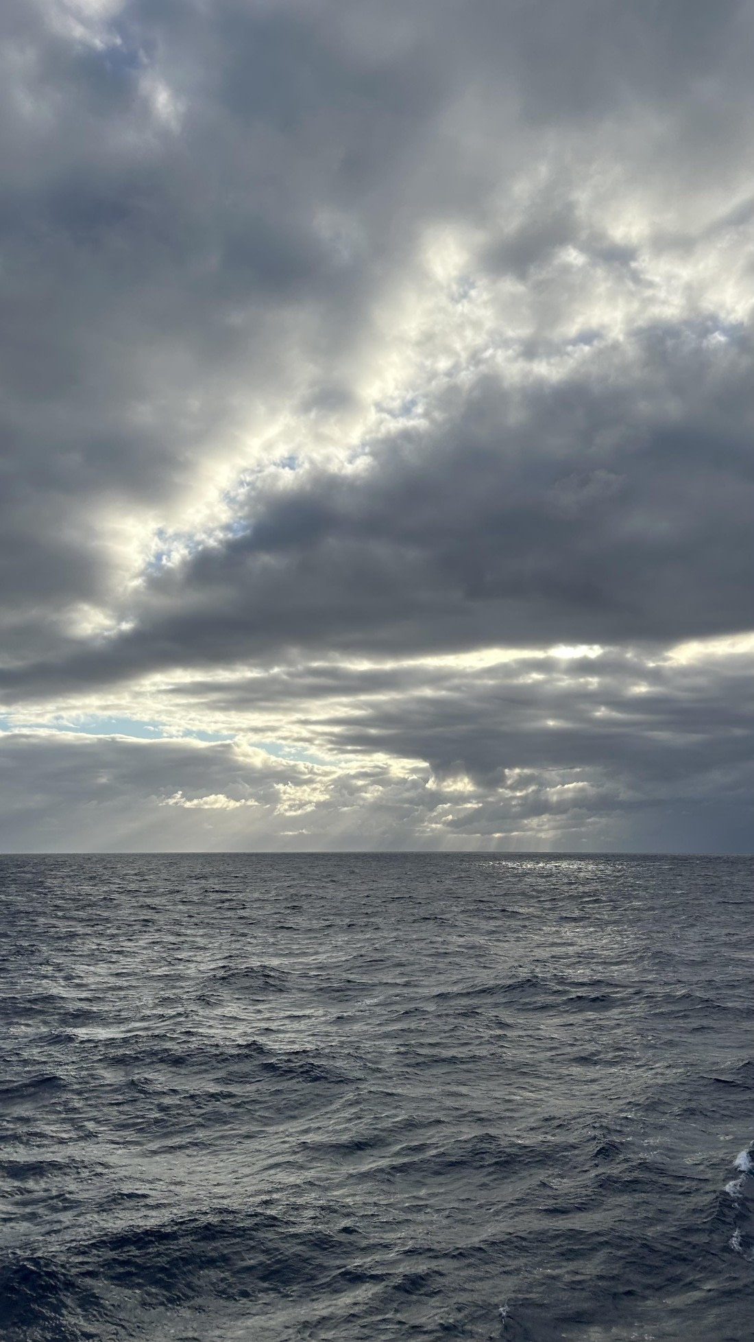 HDS32-25, Day 3, IMG_6010 © Unknown photographer - Oceanwide Expeditions.jpeg