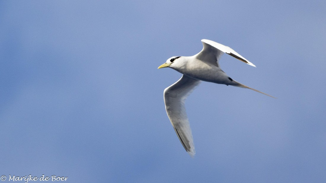 HDS32-25, Day 4, 20250418-398A8966 © Marijke de Boer - Oceanwide Expeditions.jpg