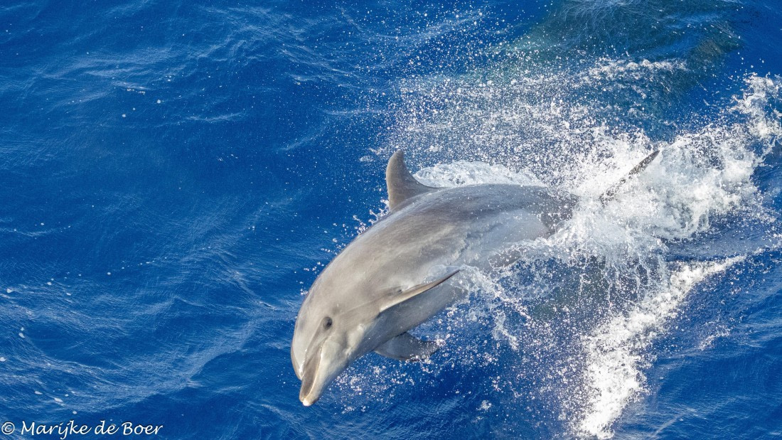 HDS32-25, Day 4, 20250418-398A9581 © Marijke de Boer - Oceanwide Expeditions.jpg
