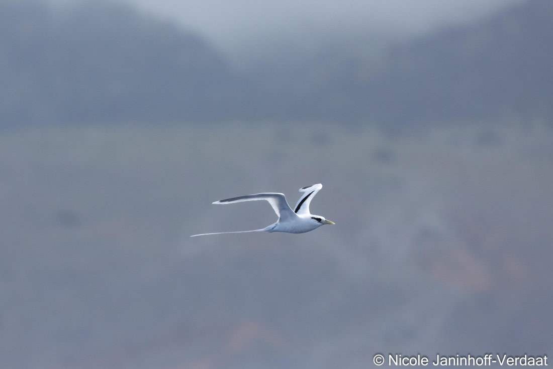 HDS32-25, Day 4, 20250418-NJV-019-1174 © Nicole Janinhoff-Verdaat - Oceanwide Expeditions.jpg