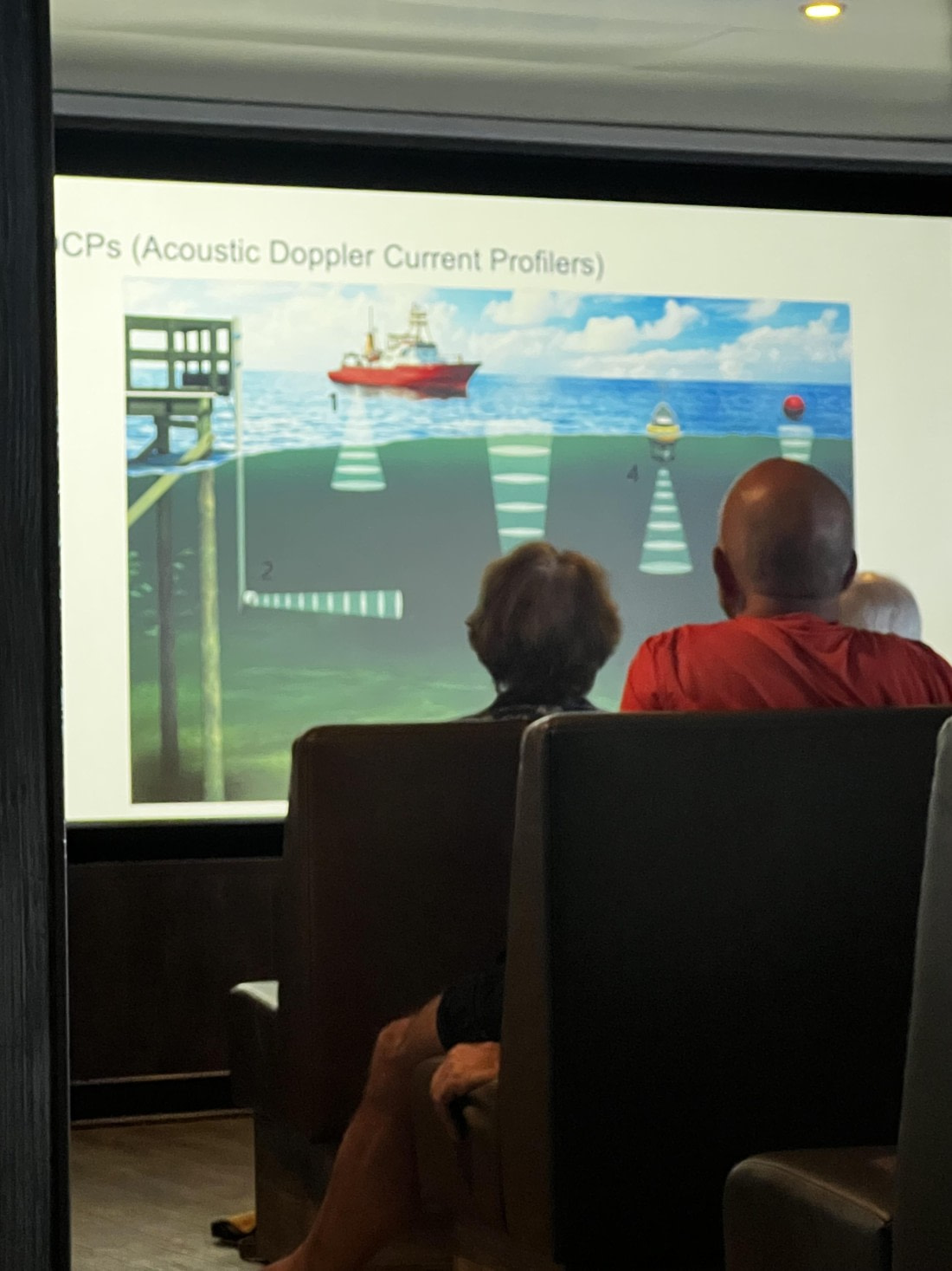 HDS32-25, Day 5, IMG_7823 © Unknown photographer - Oceanwide Expeditions.jpeg