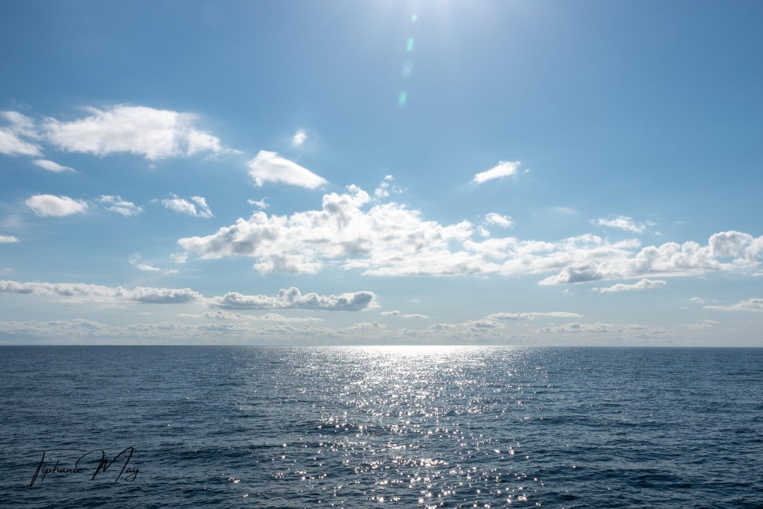 HDS01-25, Day 2, DSC04339 © Tiphanie May - Oceanwide Expeditions.jpg