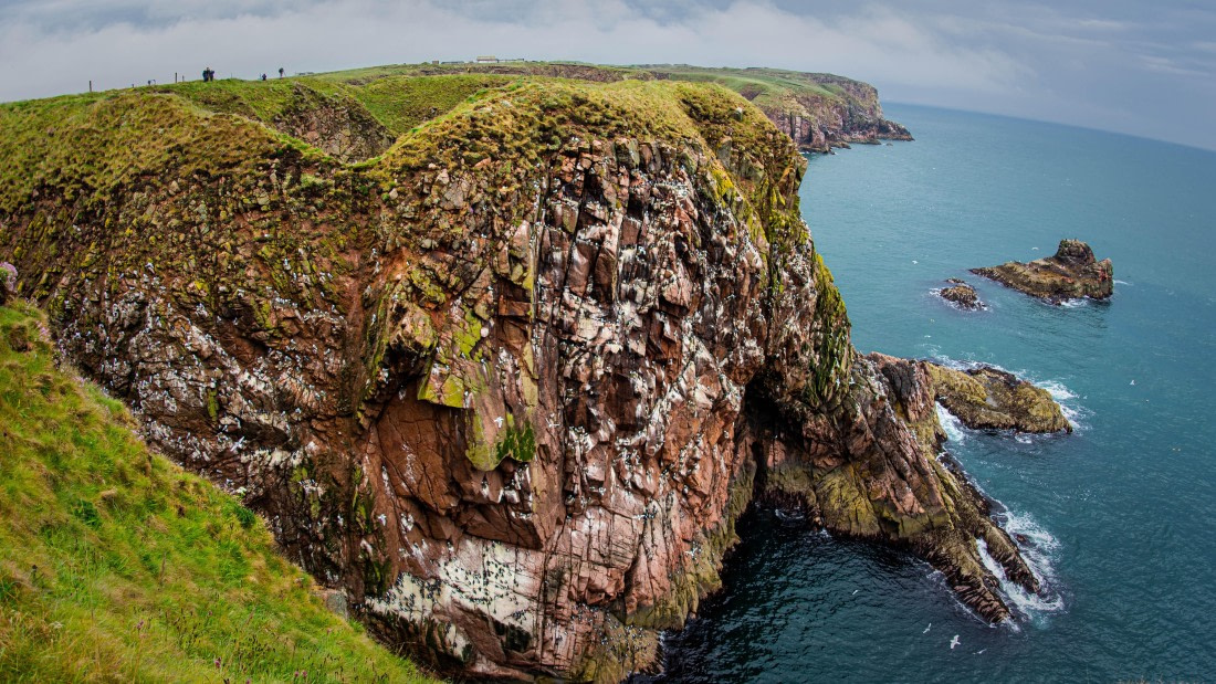 HDS01-25, Day 3, PAZ_9469 © Alexander Romanovskiy - Oceanwide Expeditions.jpg