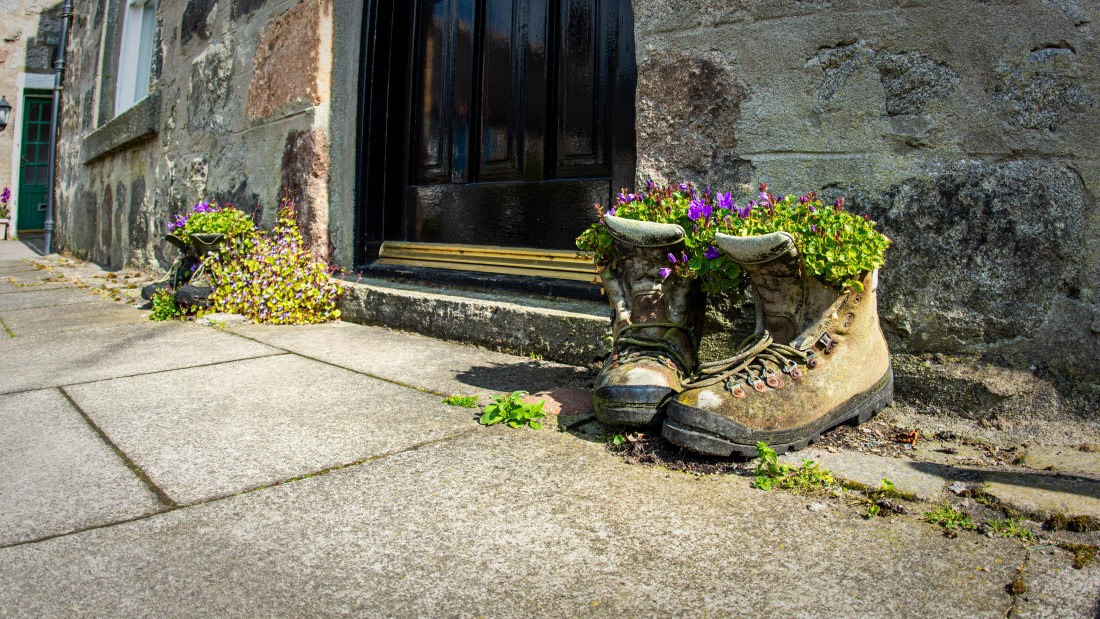 HDS01-25, Day 3, PAZ_9478 © Alexander Romanovskiy - Oceanwide Expeditions.jpg