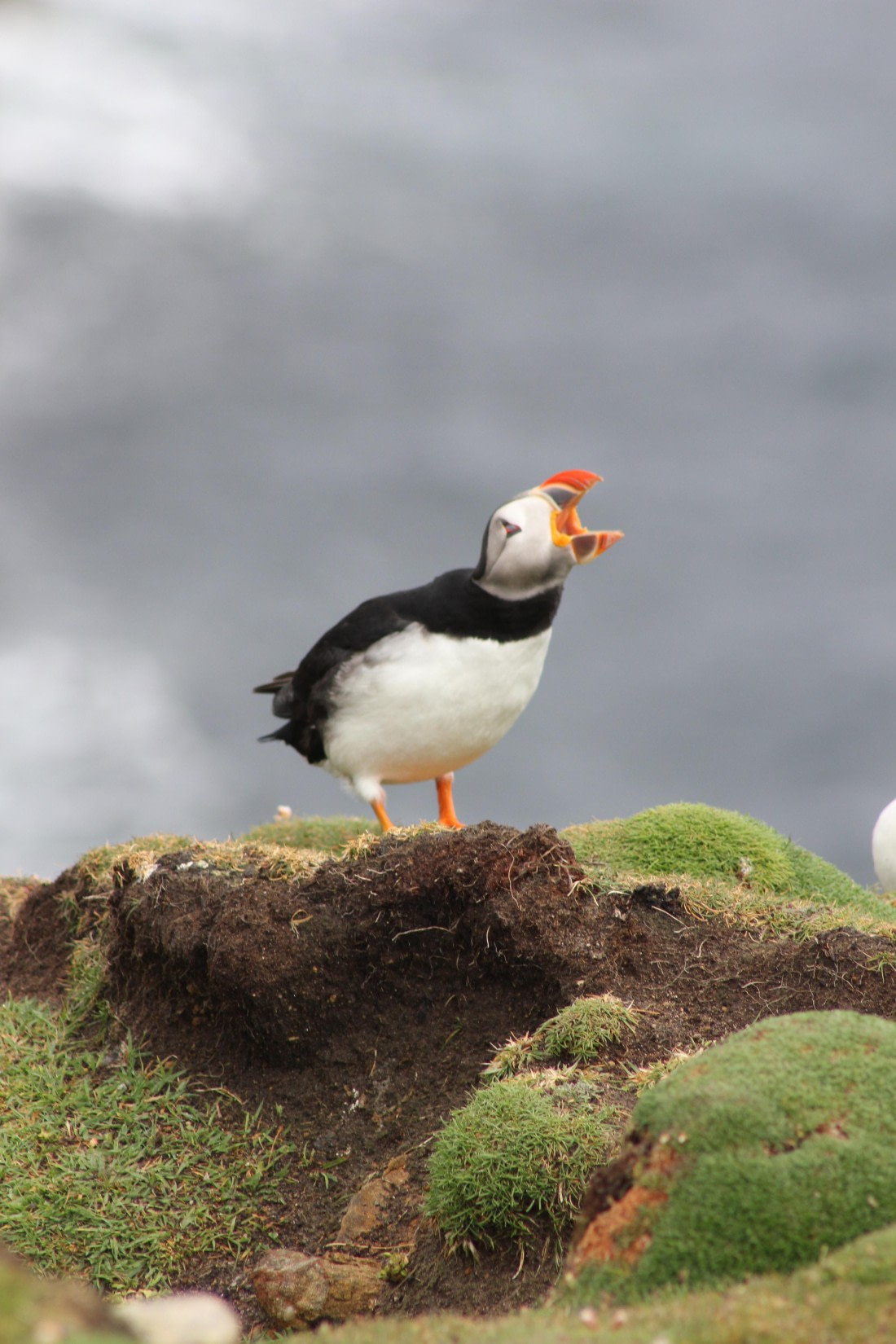 HDS01-25, Day 4, IMG_6954 © Unknown photographer - Oceanwide Expeditions.JPG