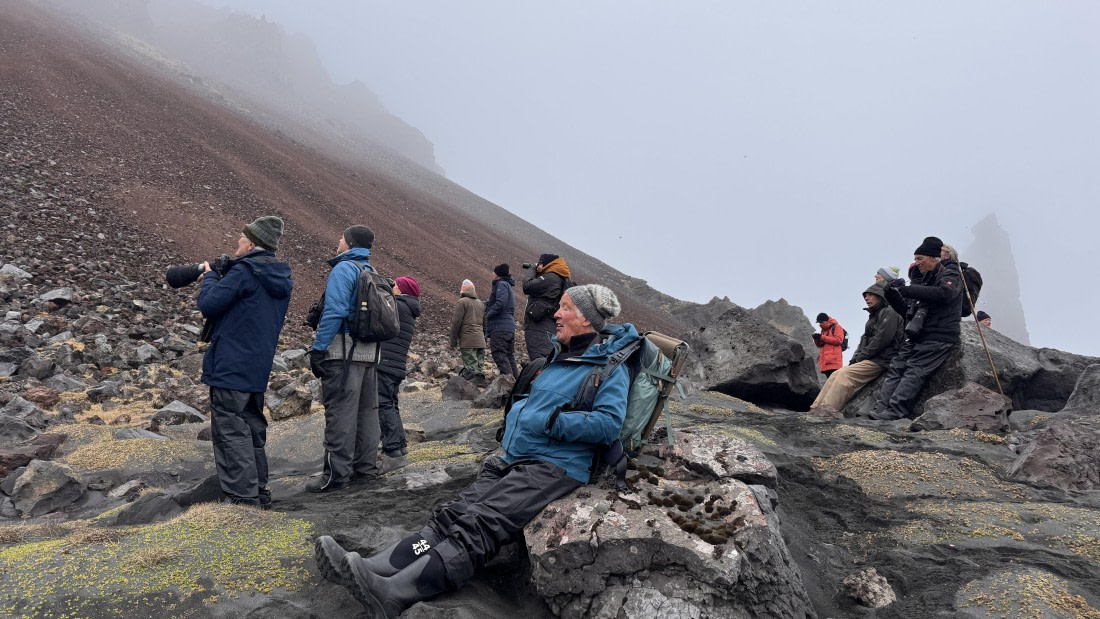HDS01-25, Day 7, guest-auks © Meike Sjoer - Oceanwide Expeditions.JPG