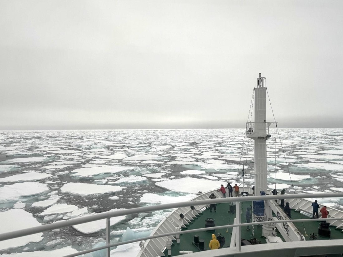HDS01-25, Day 8, Sea ice © Unknown photographer - Oceanwide Expeditions.jpg