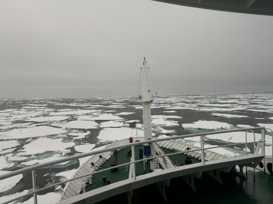 HDS01-25, Day 9, IMG_8769 2 © Unknown photographer - Oceanwide Expeditions.jpg