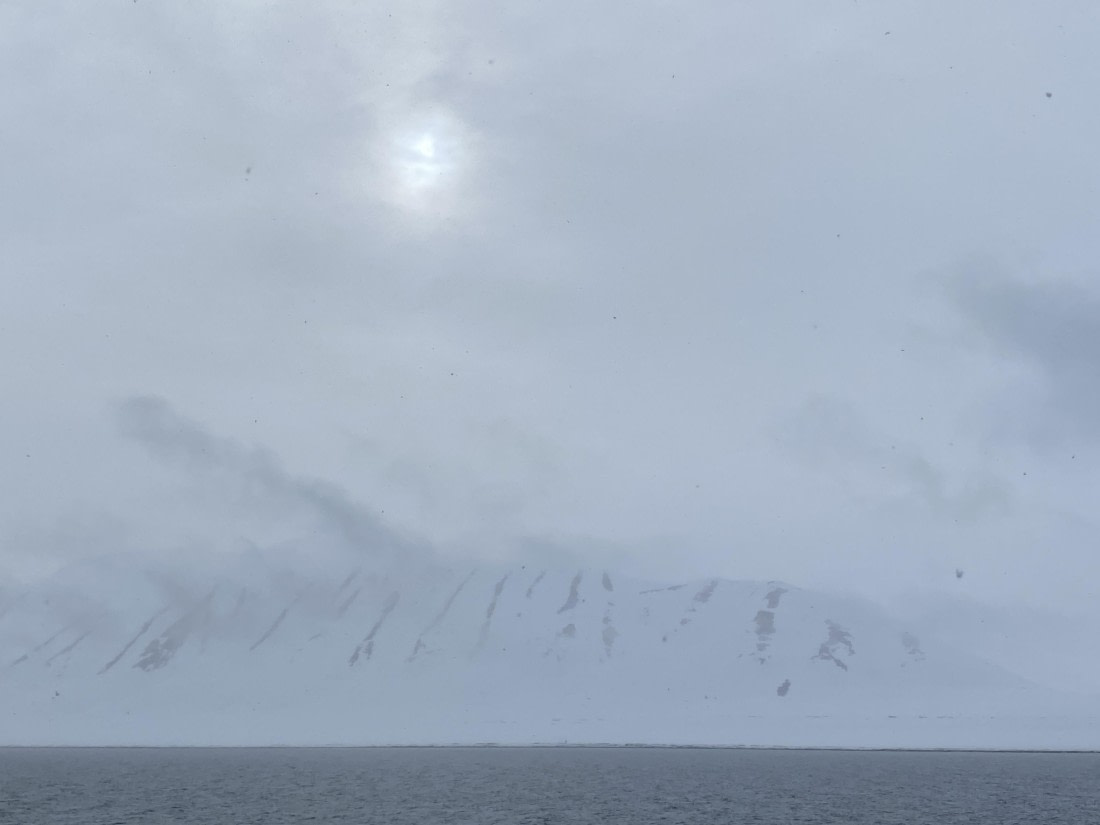 PLA02-25, Day 3, Mushamna tiger stripes © Unknown photographer - Oceanwide Expeditions.jpg