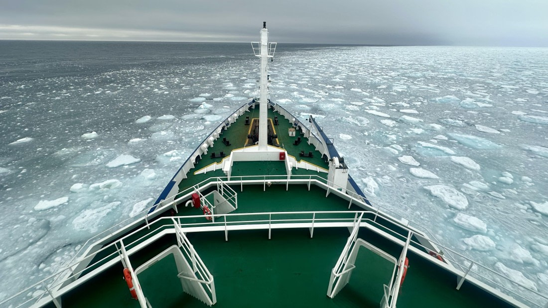 PLA02-25, Day 6, IMG_3250 © Unknown photographer - Oceanwide Expeditions.jpeg