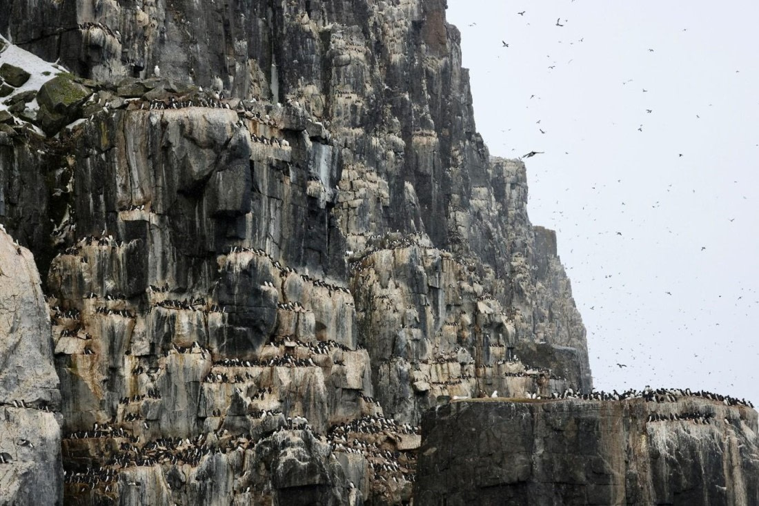 HDS02-25, Day 4, Alkefjellet © Meike Sjoer - Oceanwide Expeditions.jpg