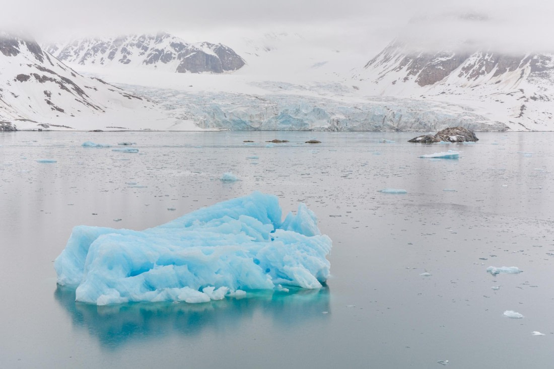 PLA03-25, Day 2, _DSC0810-2 © Unknown photographer - Oceanwide Expeditions.jpg
