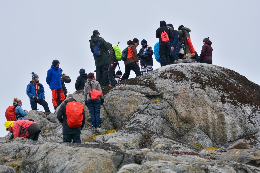 PLA03-25, Day 2, _DSC0830-2 © Unknown photographer - Oceanwide Expeditions.jpg
