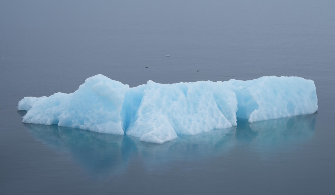 PLA03-25, Day 2, DSC09927 © Unknown photographer - Oceanwide Expeditions.JPG