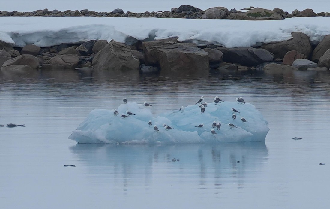 PLA03-25, Day 2, DSC09935 © Unknown photographer - Oceanwide Expeditions.JPG