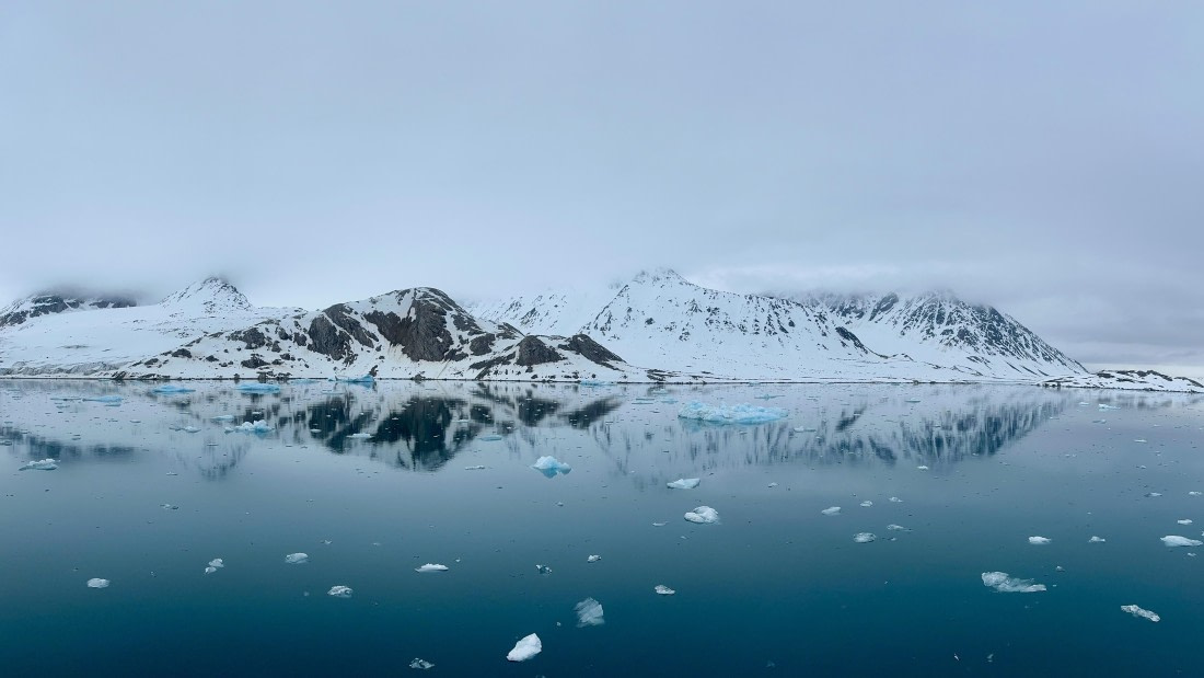 PLA03-25, Day 2, IMG_3278 © Unknown photographer - Oceanwide Expeditions.jpeg