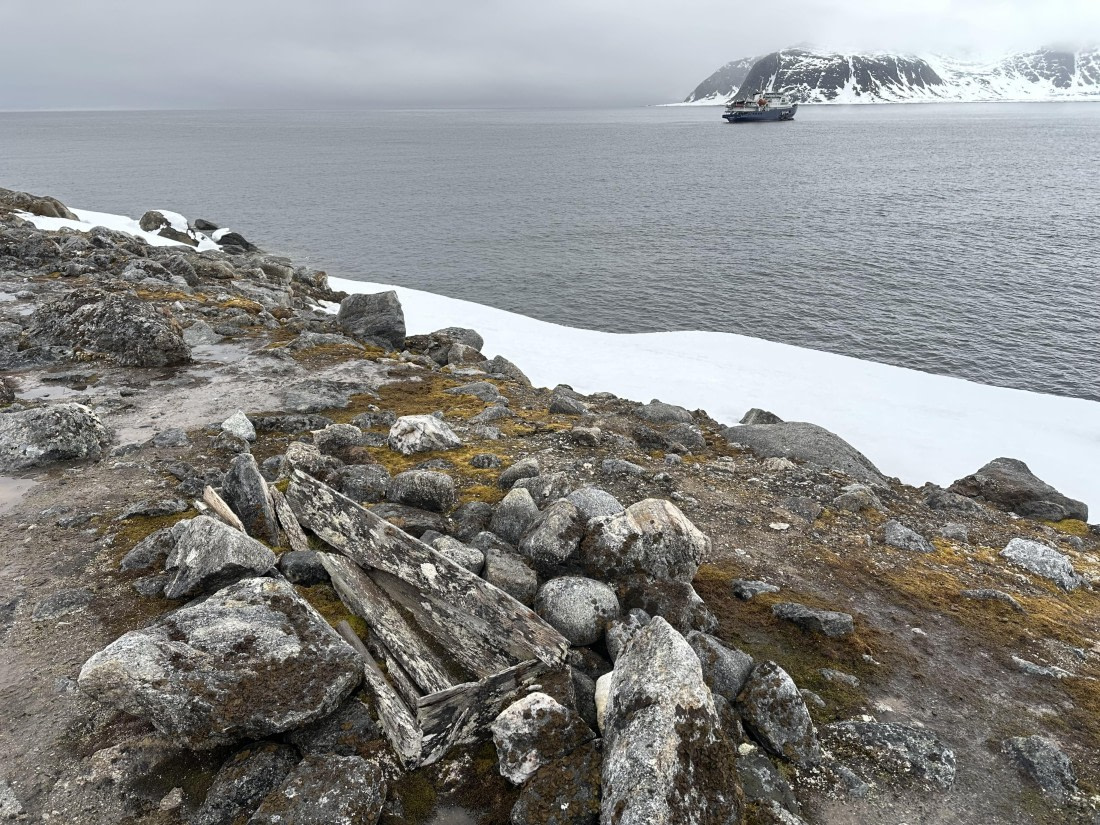 PLA03-25, Day 2, IMG_3291 © Unknown photographer - Oceanwide Expeditions.jpeg