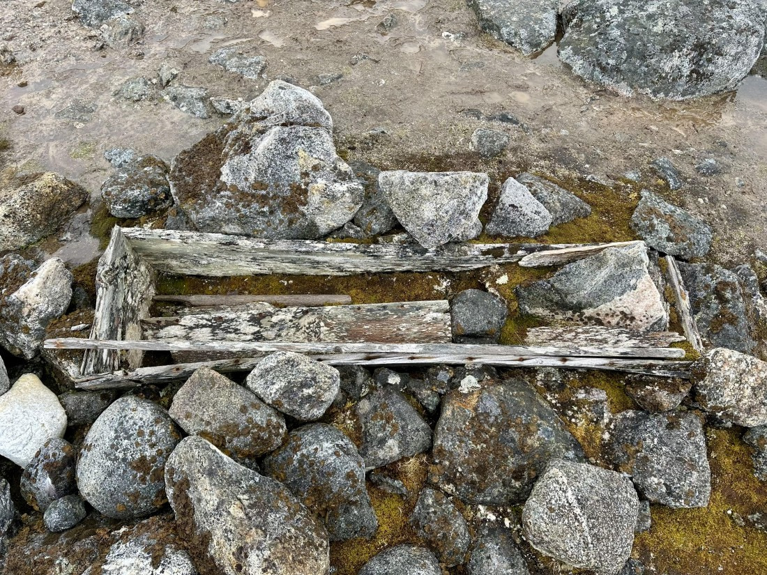 PLA03-25, Day 2, IMG_3292 © Unknown photographer - Oceanwide Expeditions.jpeg