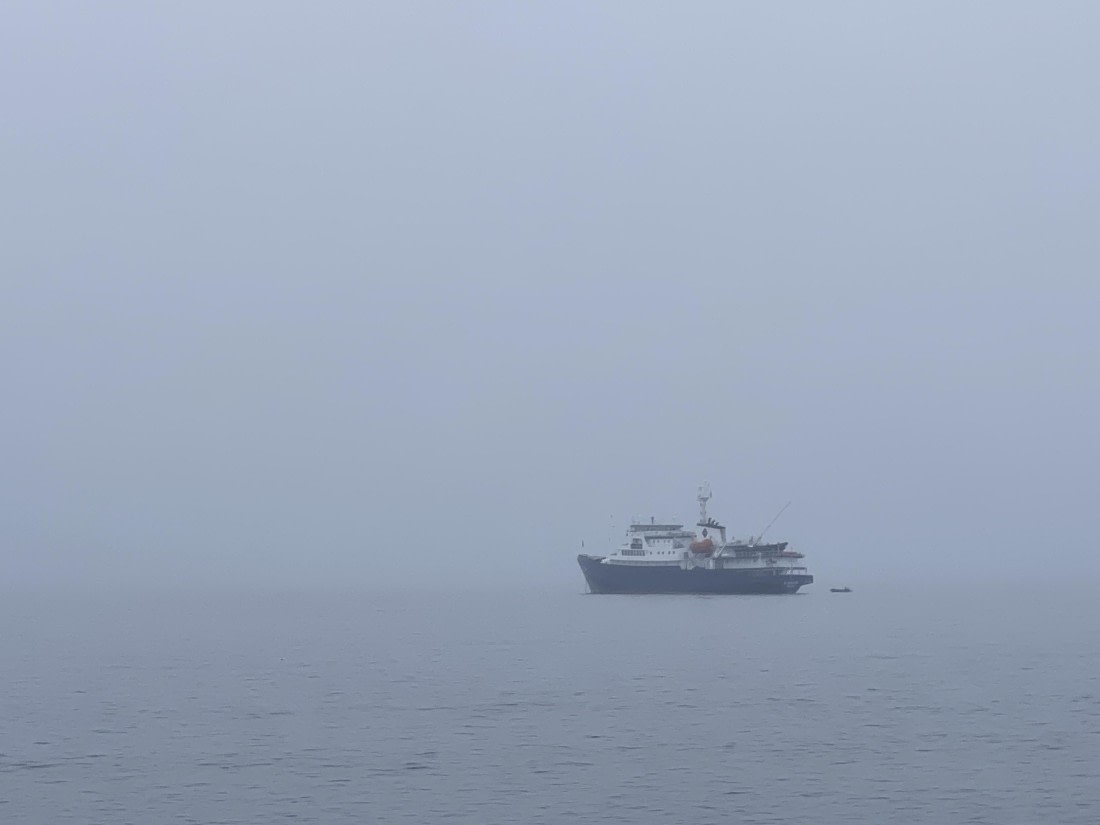 PLA03-25, Day 2, IMG_4665 © Unknown photographer - Oceanwide Expeditions.JPG