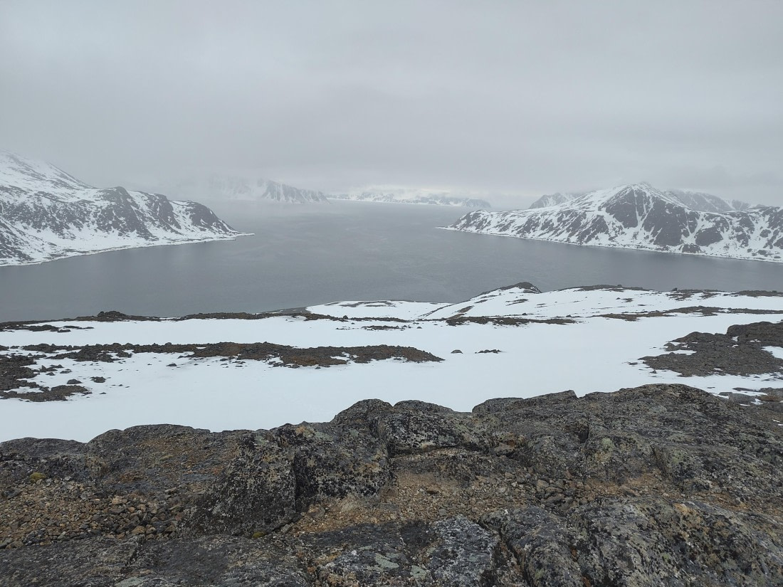 PLA03-25, Day 2, IMG_20250611_171316 © Michelle van Dijk - Oceanwide Expeditions.jpg