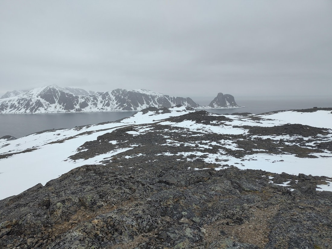PLA03-25, Day 2, IMG_20250611_171325 © Michelle van Dijk - Oceanwide Expeditions.jpg
