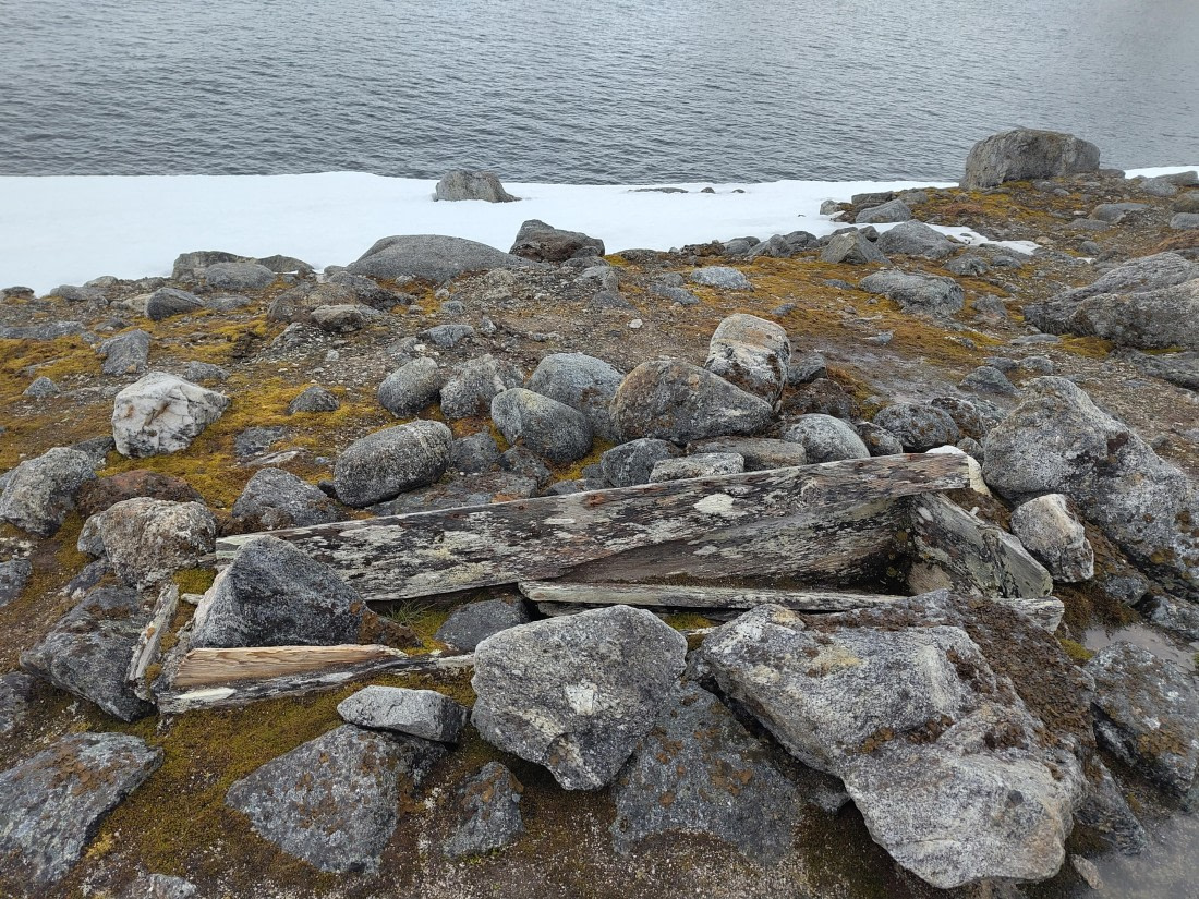 PLA03-25, Day 2, IMG_20250611_175842 © Michelle van Dijk - Oceanwide Expeditions.jpg