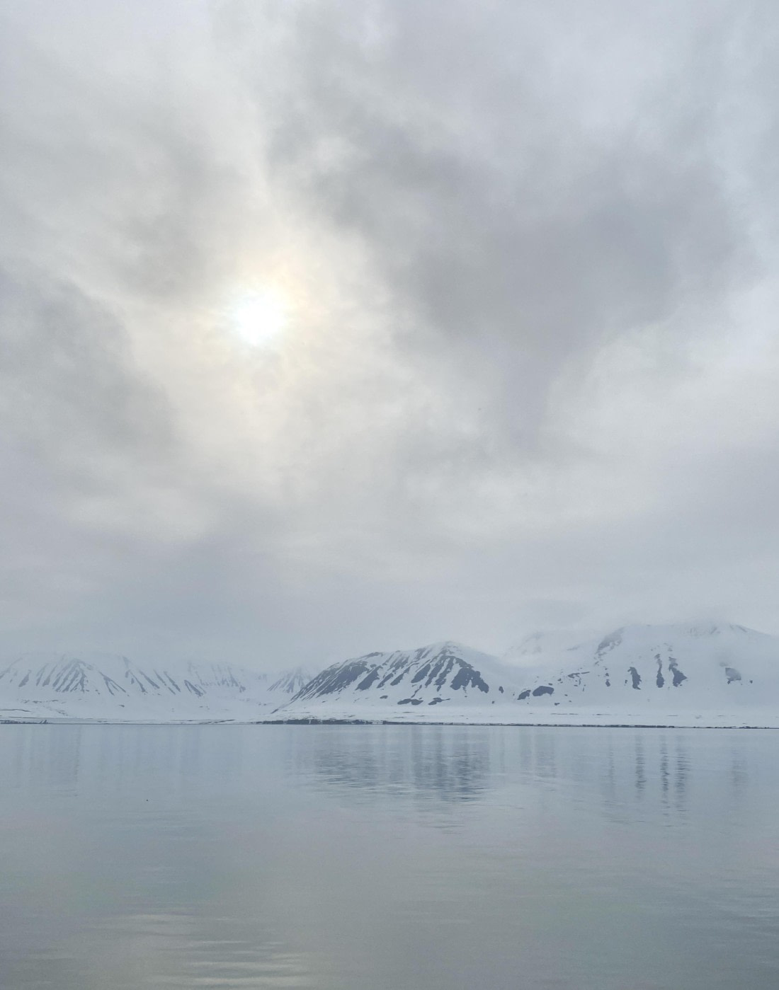 PLA03-25, Day 3, IMG_4672 © Unknown photographer - Oceanwide Expeditions.jpg