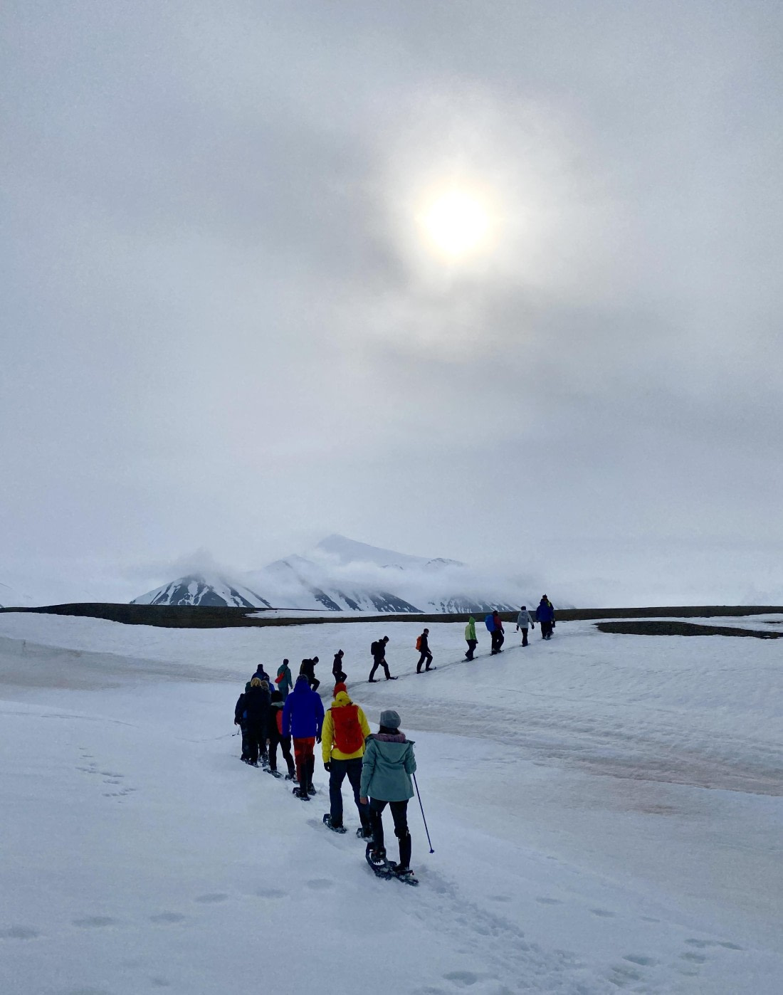 PLA03-25, Day 3, IMG_4676 © Unknown photographer - Oceanwide Expeditions.jpg