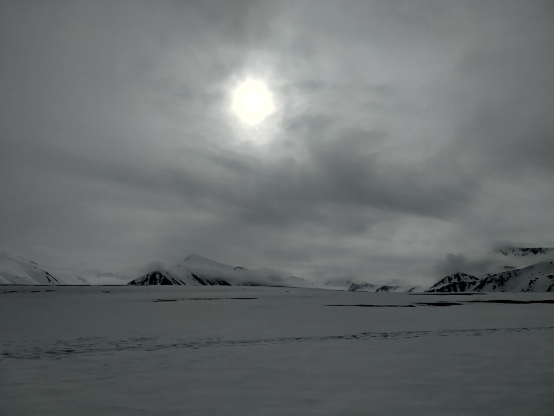 PLA03-25, Day 3, IMG_20250612_100934 © Michelle van Dijk - Oceanwide Expeditions.jpg