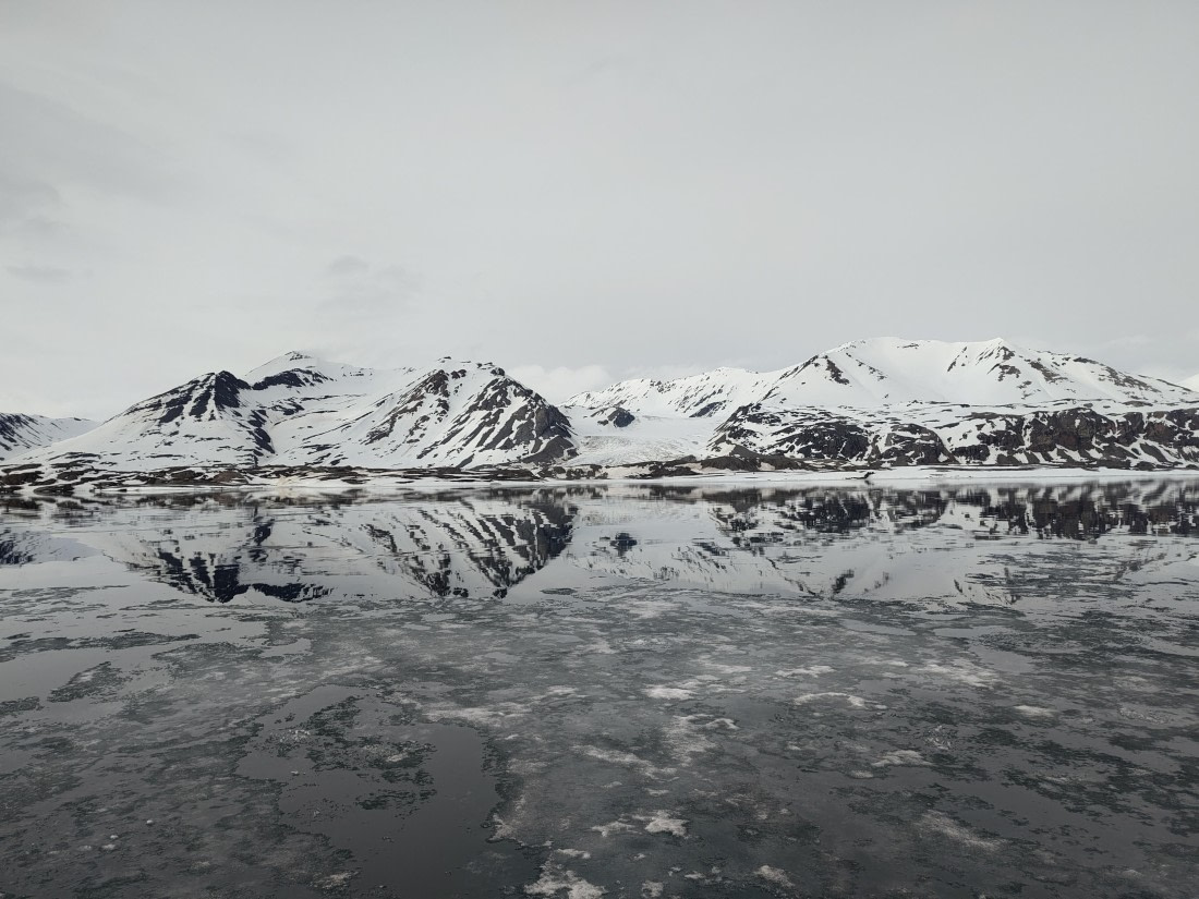 PLA03-25, Day 3, IMG_20250612_144020 © Michelle van Dijk - Oceanwide Expeditions.jpg