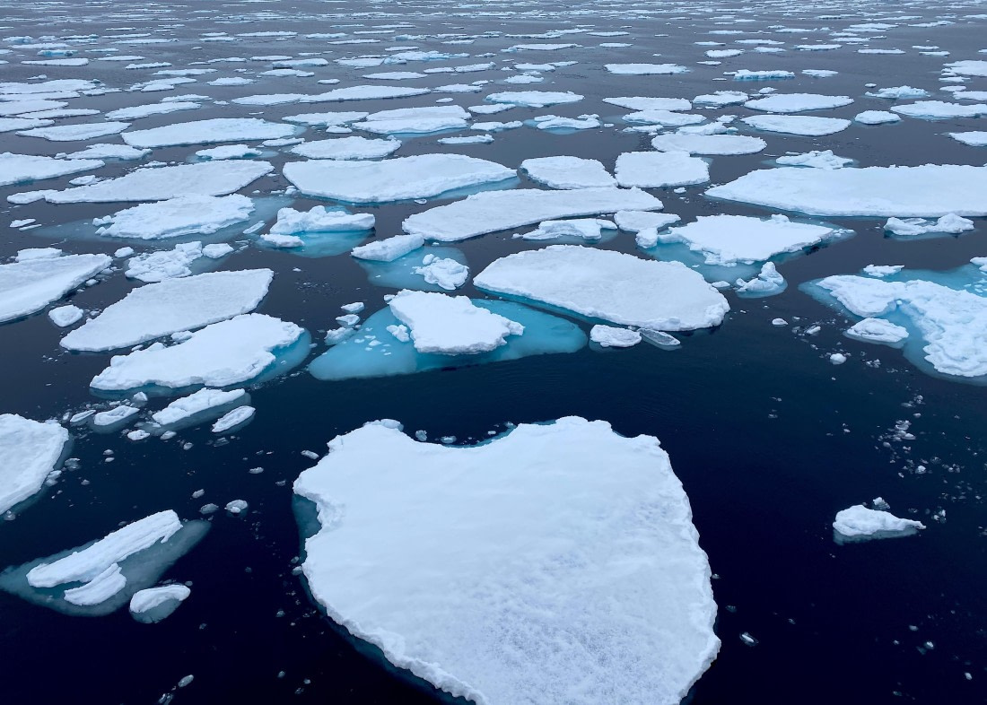 PLA03-25, Day 4, IMG_4697 © Unknown photographer - Oceanwide Expeditions.JPG