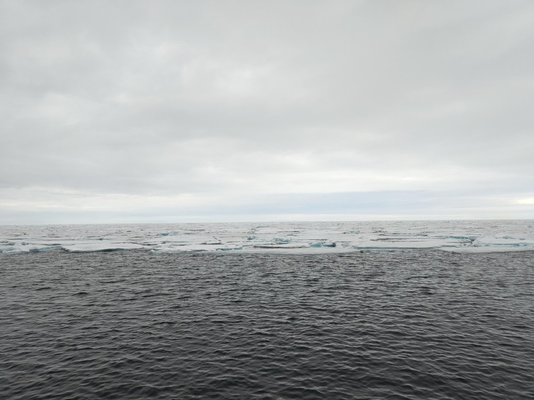 PLA03-25, Day 4, IMG_20250613_233456 © Michelle van Dijk - Oceanwide Expeditions.jpg