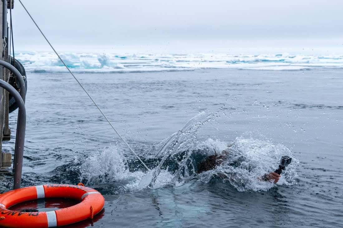 PLA03-25, Day 5, DSC_0199 © Unknown photographer - Oceanwide Expeditions.jpg