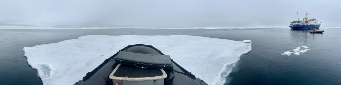 PLA03-25, Day 5, IMG_3439 © Unknown photographer - Oceanwide Expeditions.jpeg