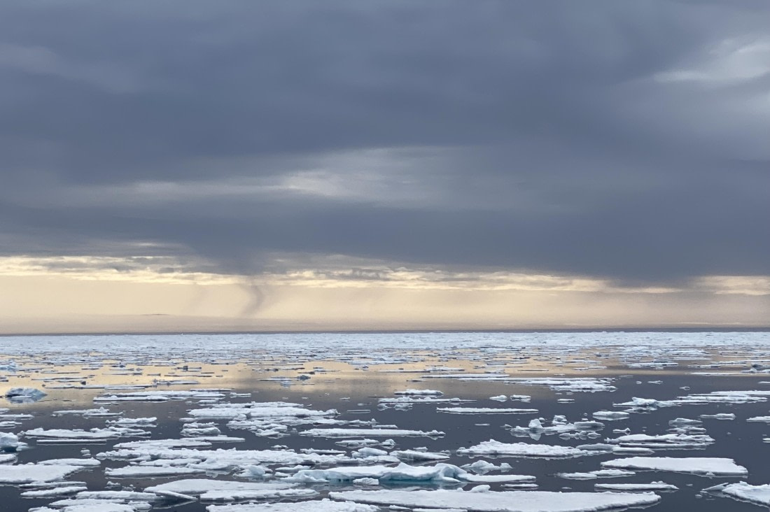 PLA03-25, Day 5, IMG_4705 © Unknown photographer - Oceanwide Expeditions.jpg