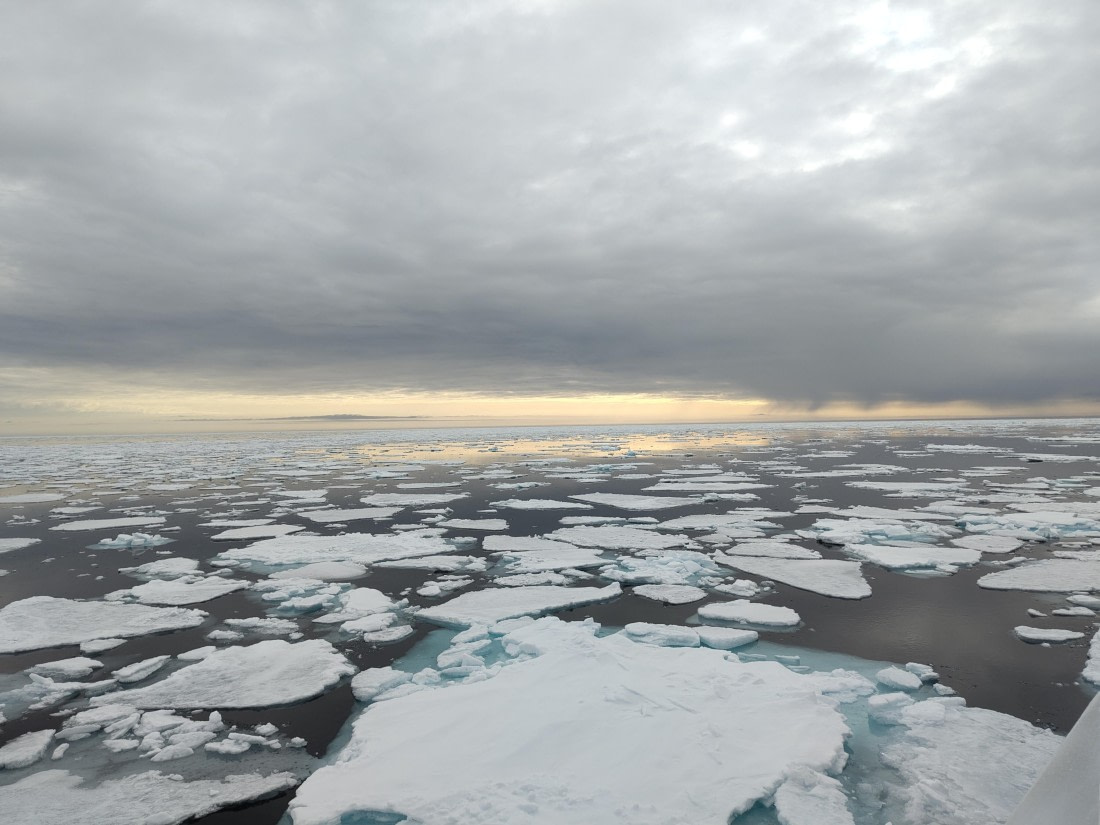 PLA03-25, Day 5, IMG_20250614_082713 © Michelle van Dijk - Oceanwide Expeditions.jpg