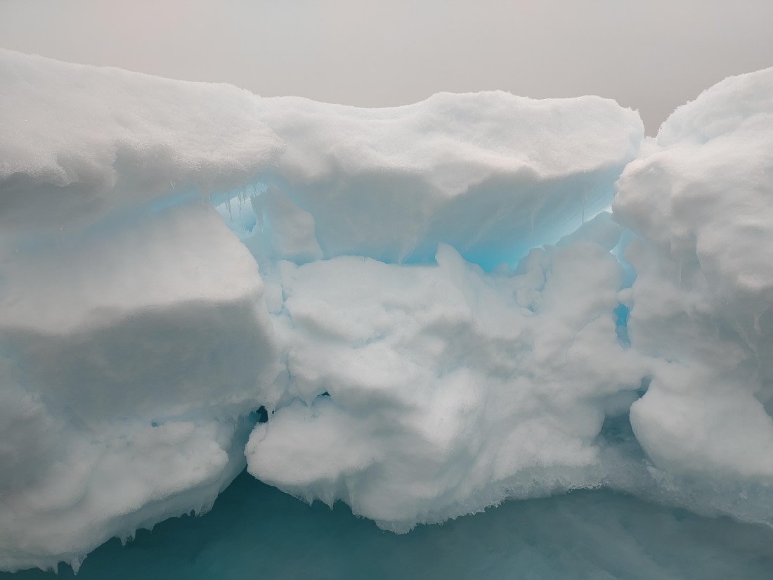 PLA03-25, Day 5, IMG_20250614_151343 © Michelle van Dijk - Oceanwide Expeditions.jpg