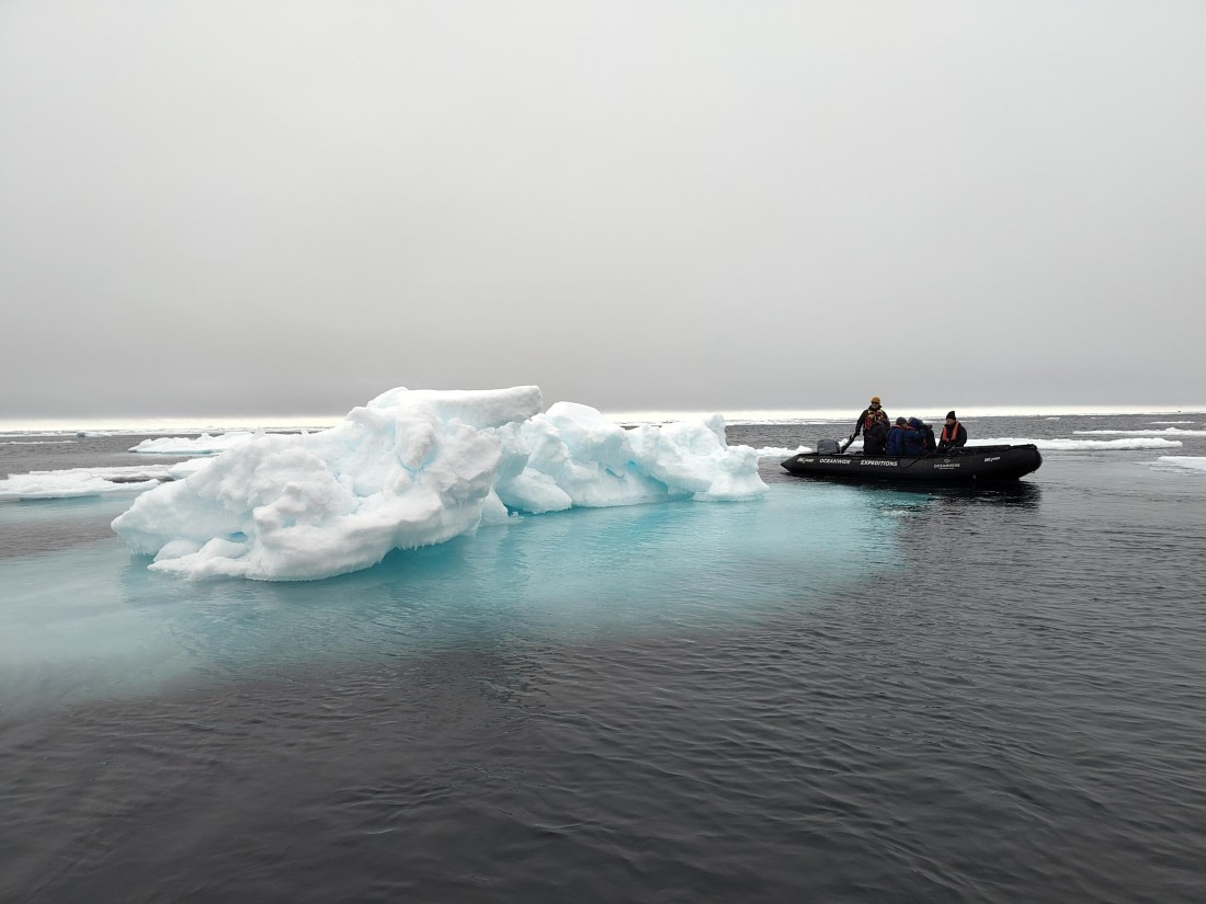 PLA03-25, Day 5, IMG_20250614_151435 © Michelle van Dijk - Oceanwide Expeditions.jpg