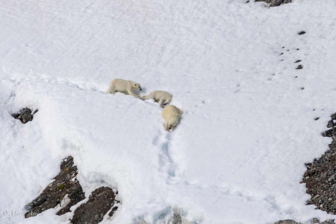OTL03-25, Day 2, 0Q9A3016-Enhanced-NR © Martin Anstee - Oceanwide Expeditions.jpg