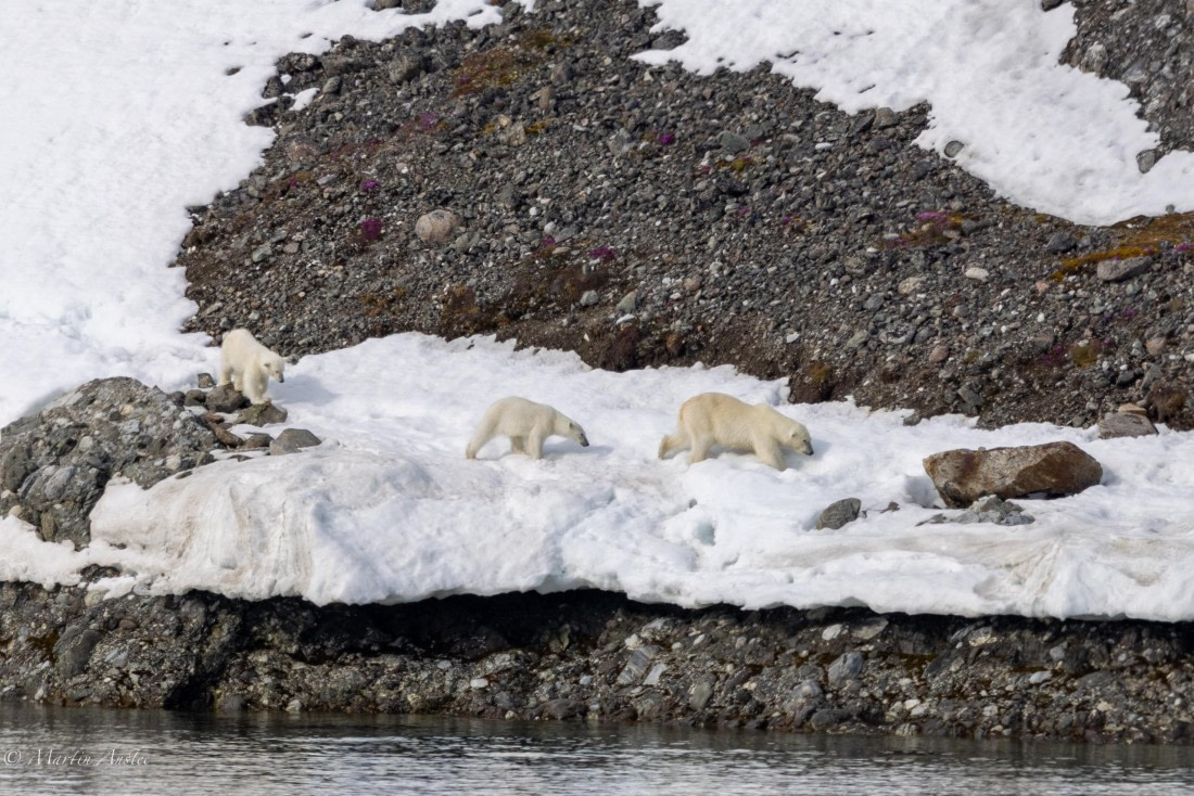 OTL03-25, Day 2, 0Q9A3041 © Martin Anstee - Oceanwide Expeditions.jpg