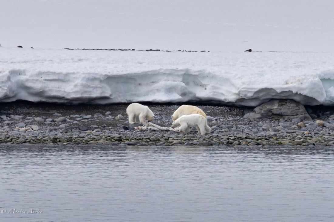 OTL03-25, Day 2, 0Q9A3206-Enhanced-NR © Martin Anstee - Oceanwide Expeditions.jpg