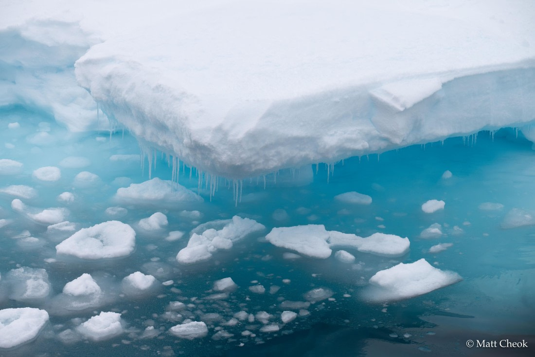 OTL03-25, Day 5 (1) © Matt Cheok - Oceanwide Expeditions.jpg