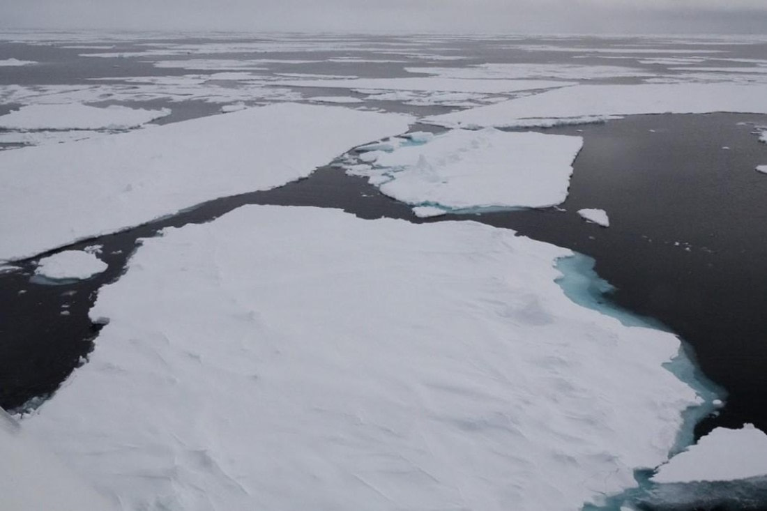 HDS03-25, Day 5, Pack ice © Unknown photographer - Oceanwide Expeditions.jpg